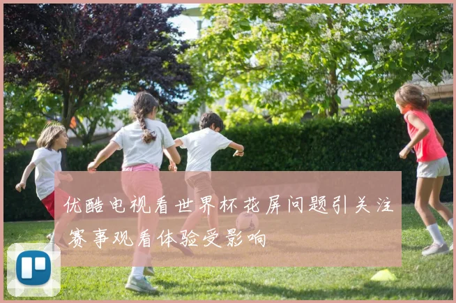 优酷电视看世界杯花屏问题引关注 赛事观看体验受影响