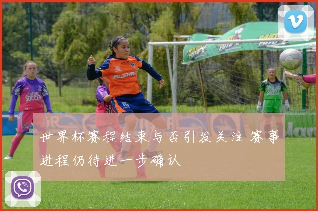 世界杯赛程结束与否引发关注 赛事进程仍待进一步确认