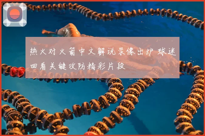 热火对火箭中文解说录像出炉 球迷回看关键攻防精彩片段