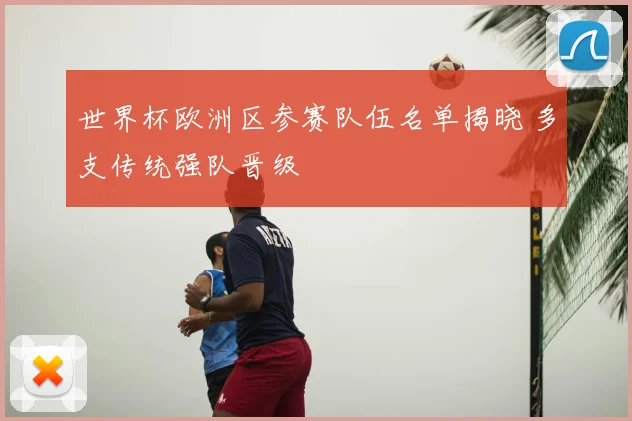 世界杯欧洲区参赛队伍名单揭晓 多支传统强队晋级