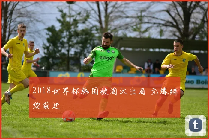 2018世界杯韩国被淘汰出局 无缘继续前进