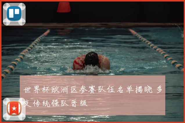 世界杯欧洲区参赛队伍名单揭晓 多支传统强队晋级