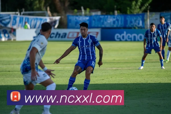 星空官网免费入口发展历程